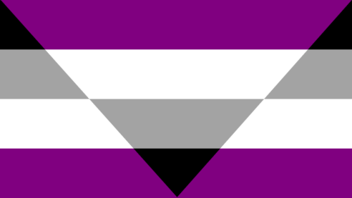 QueerEvents.ca - Queer Flags - Aegosexual Flag Image