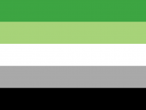 QueerEvents.ca - Queer Flags - Aromantic Flag Image